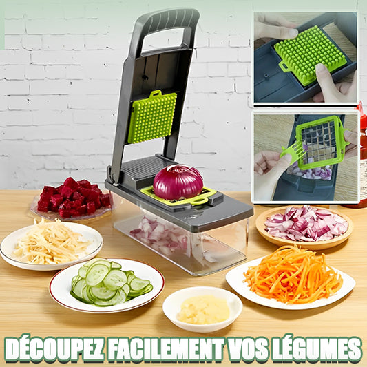 COUPE LEGUMES-manuel
